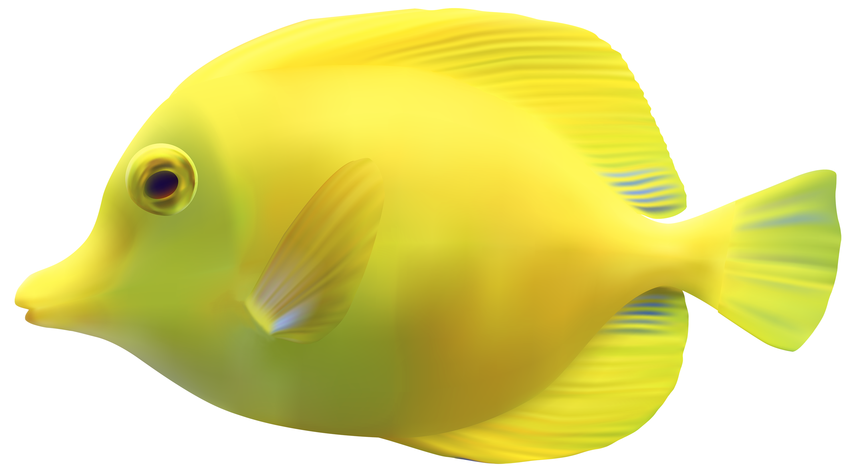 Fish PNG Transparent Images | PNG All