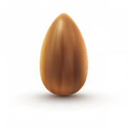 Seed PNG Transparent Images PNG All