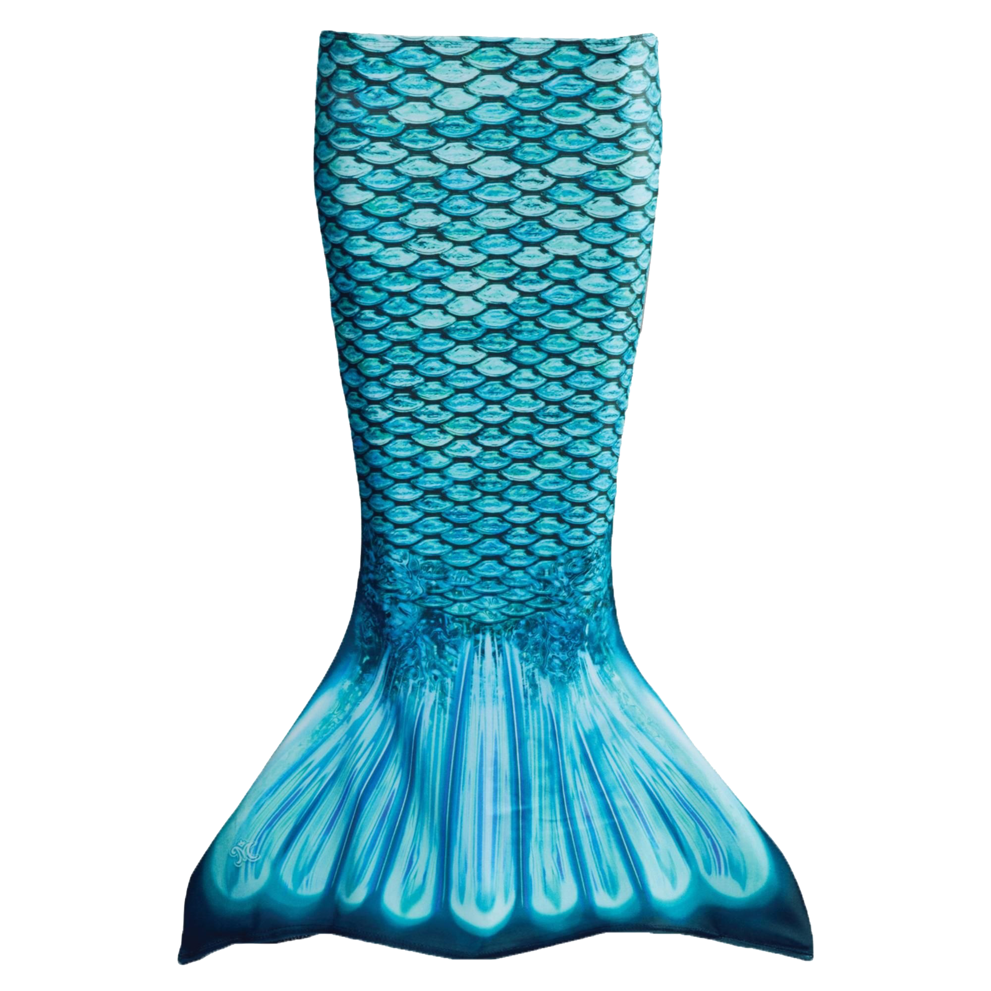 Mermaid Tail PNG Free Download PNG All
