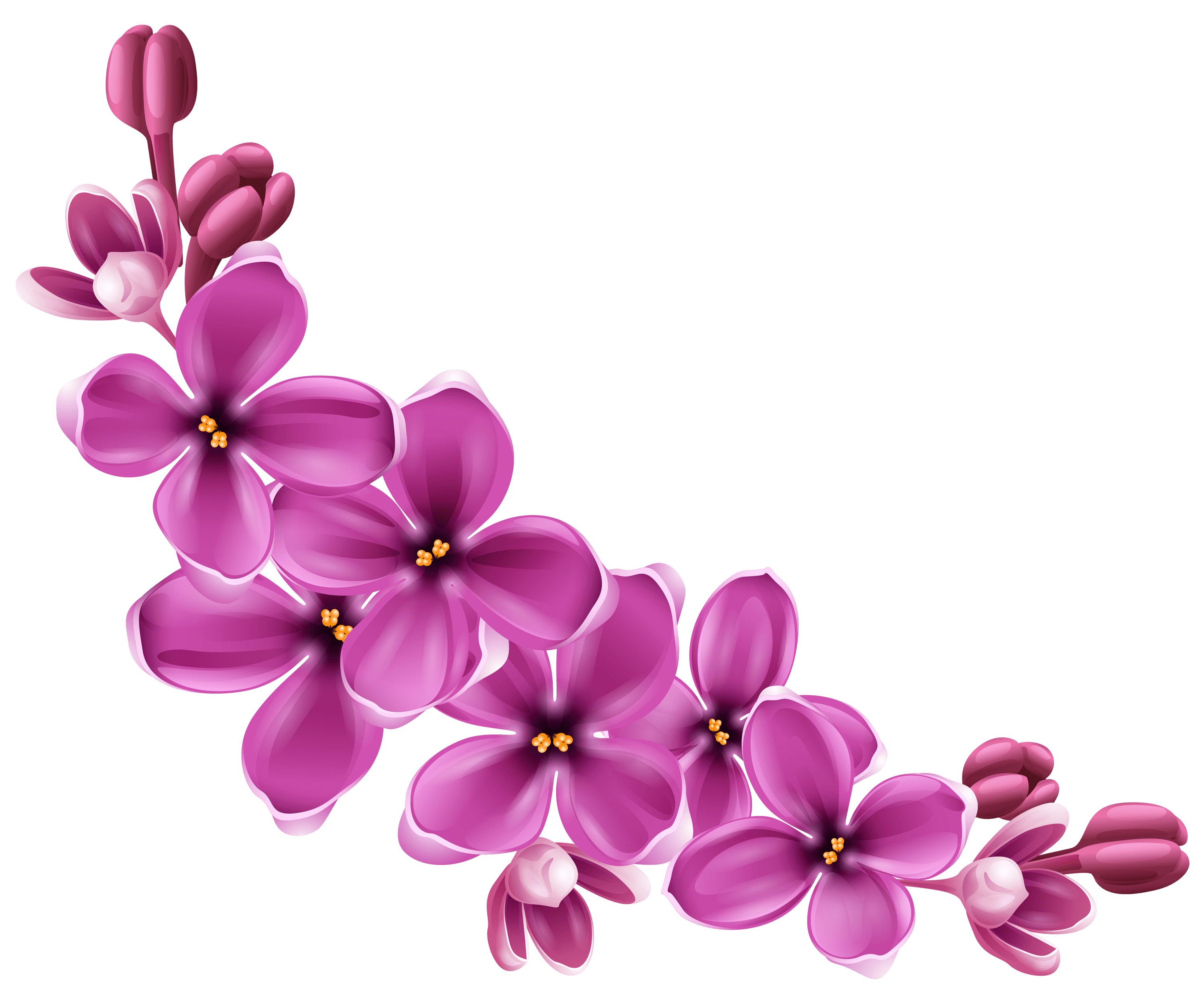 Vector Violet Flower Png Image Png All Png All