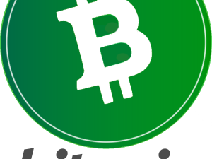 Bitcoin Cash Crypto Logo