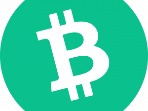 Bitcoin Cash Crypto Logo PNG HD Image