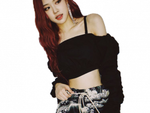 fashion, stylish outfit, trendy look, modern apparel, Blackpink PNG