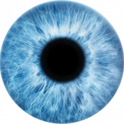 Blue Eyes Vector I -download ang Libreng PNG