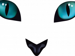 Cat Eyes PNG File