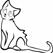 Katzenaugen PNG HD -Hintergrund