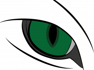 Cat Eyes PNG HD Quality