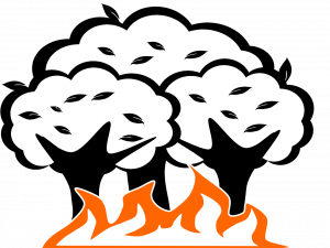 explosion icon, fire symbol, disaster graphic, emergency illustration, Drawing PNG