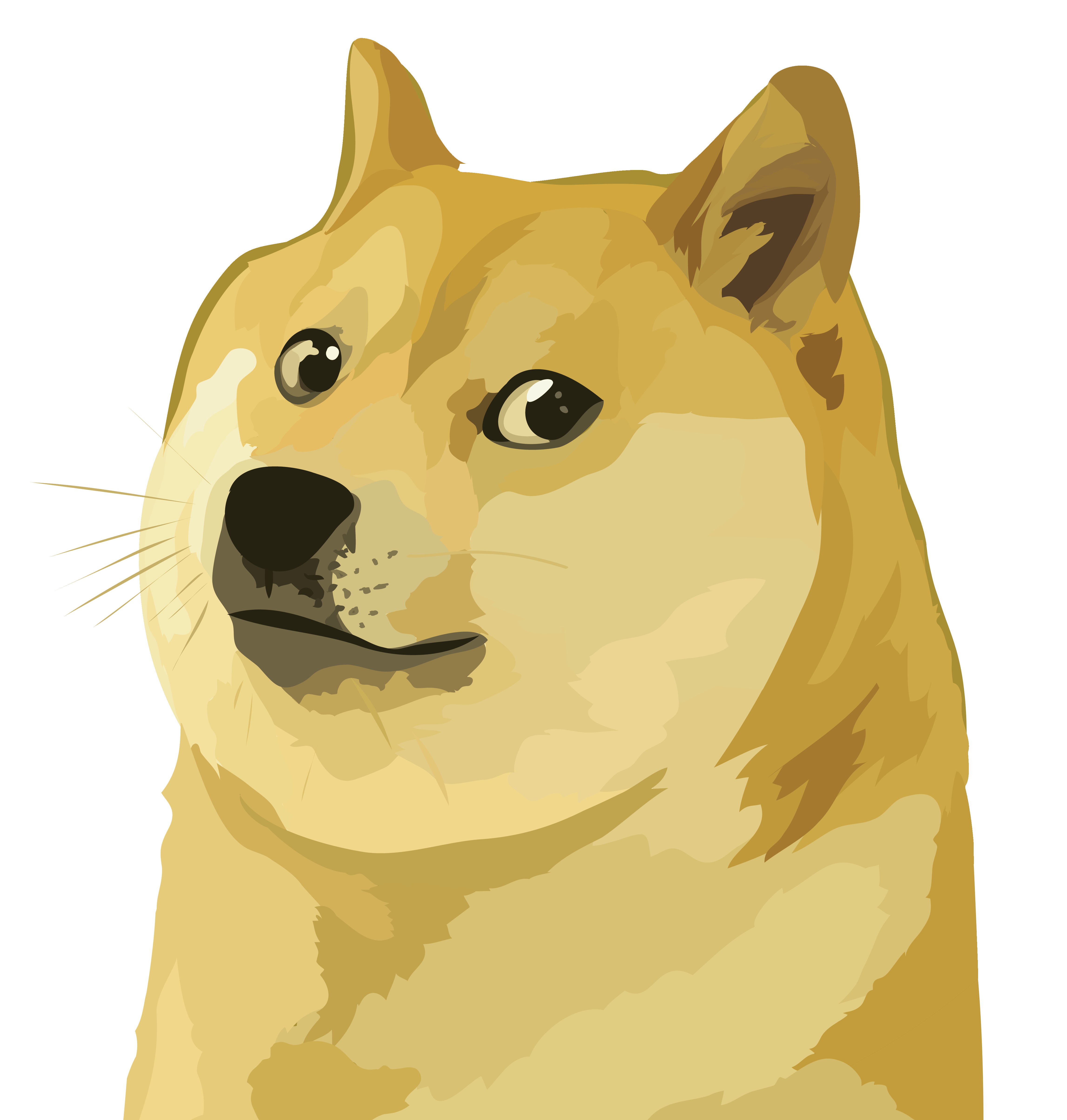 Dogecoin Crypto Logo PNG Foto