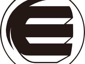 Enjin Coin Logo PNG File