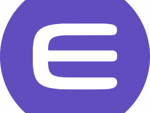 Enjin Coin Logo PNG Pic