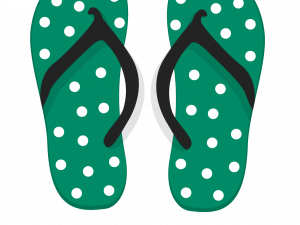 Flip Flops No Background