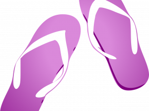 Flip Flops Vector PNG Pic