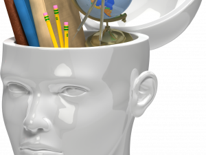 Knowledge Brain PNG File