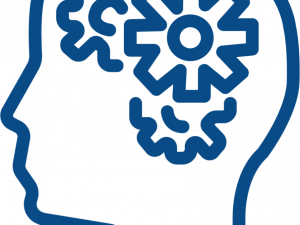 Knowledge Brain PNG Pic