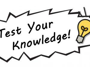 Knowledge PNG Clipart Background