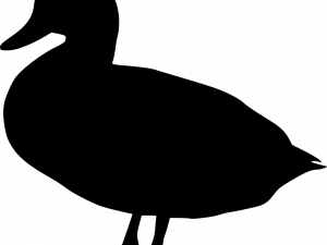 Mallard Silhouette PNG File