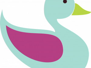 Mallard Vector PNG Images