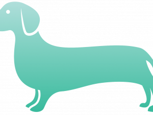 Pet Background PNG Image