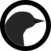 Starling Bird PNG HD -afbeelding