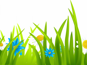 Yard Background PNG