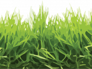 Yard PNG Pic Background