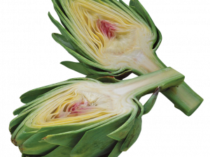 Artichokes PNG HD Image