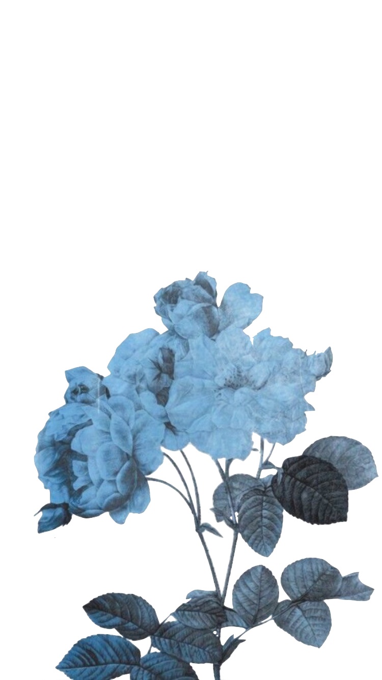 Blue Aesthetic Transparent | PNG All