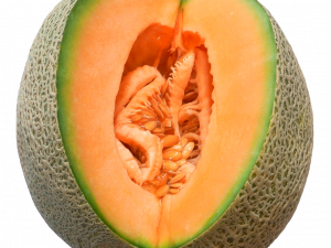 Cantaloupe Melon No Background