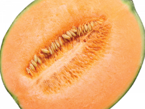 Cantaloupe Melon PNG Images