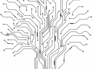 Circuit PNG File