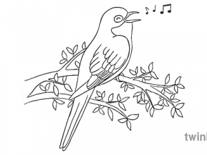 Cuckoo Bird PNG Picture