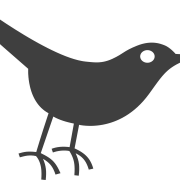 Kuckucksvogel Wildlife PNG Bild