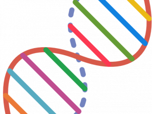 DNA Genetic PNG File