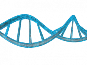 DNA Genetic PNG HD Image