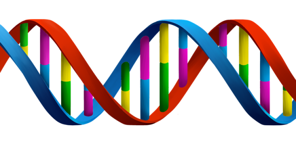 DNA Genetic PNG Pic