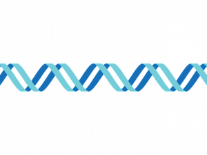 DNA PNG