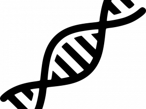 DNA PNG Clipart