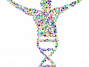 DNA PNG Cutout