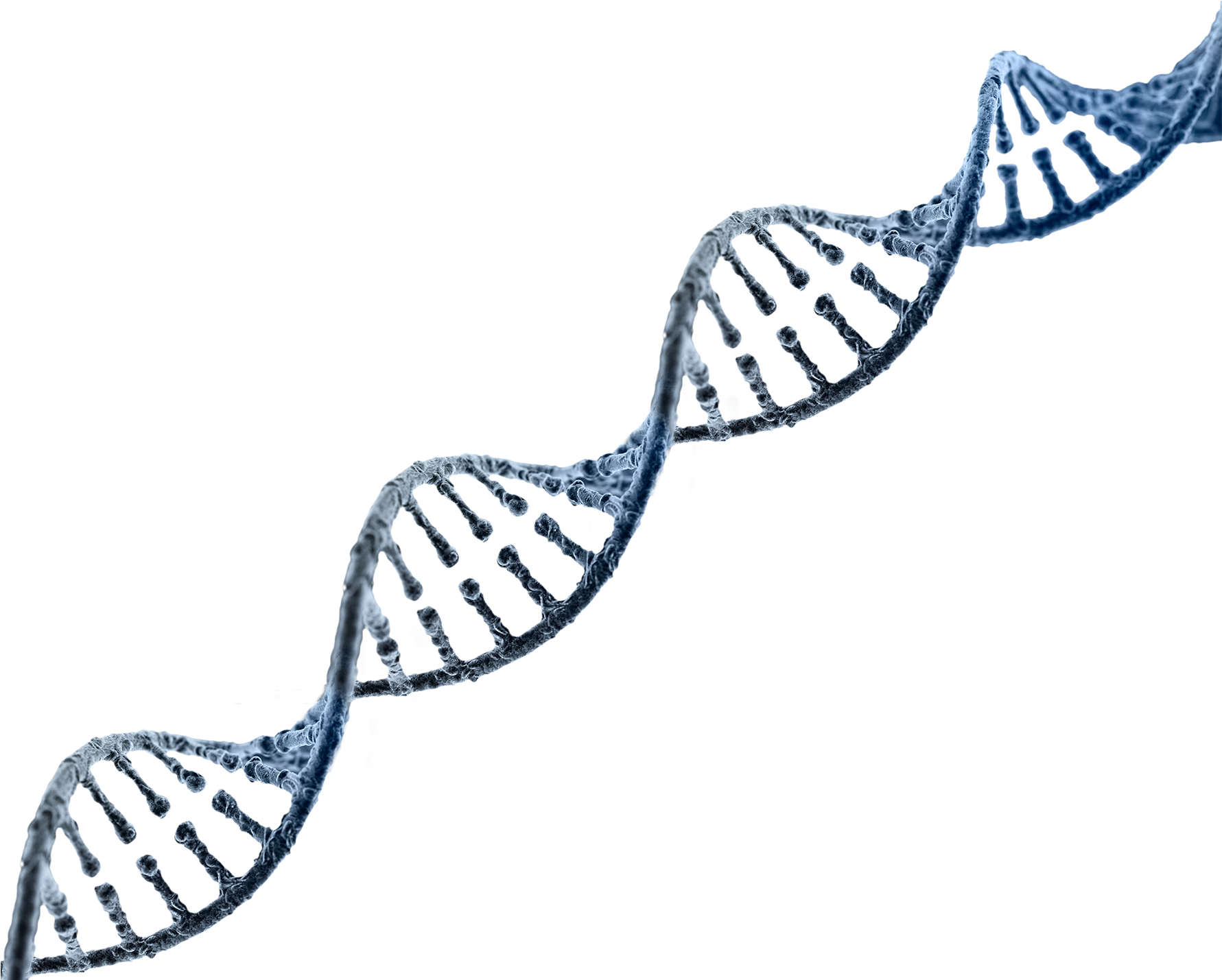 Gambar DNA PNG - PNG All