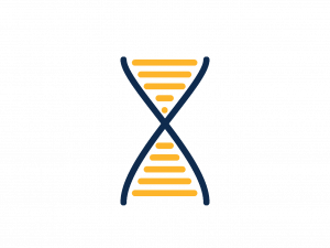 DNA PNG Picture