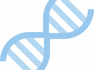 DNA Structure PNG Background