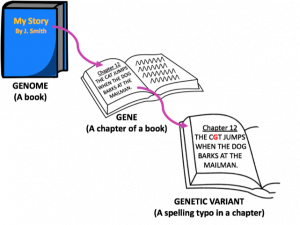 DNA Structure PNG Clipart