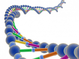 DNA Structure PNG Pic