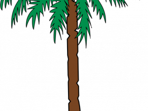 Date Palm PNG HD Image