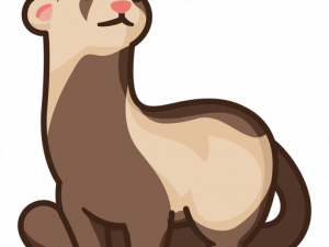 Ferret Animal PNG Image