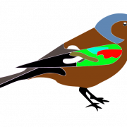Finch PNG Images