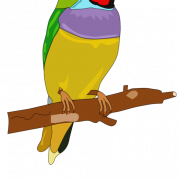 Finch Wildlife Png Dosyası