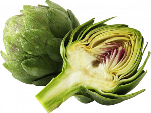 Fresh Artichokes PNG Image