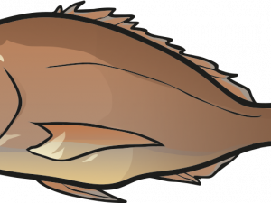 Halibut Background PNG